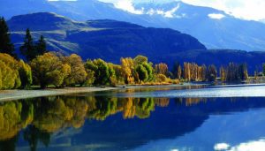 autumn5 wanaka new zealand activity | Gallery