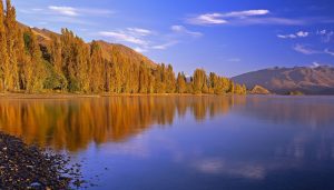 roys bay poplars wanaka walks | Gallery